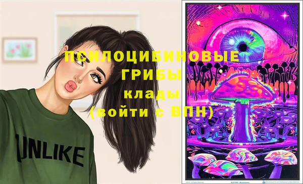 скорость Белокуриха