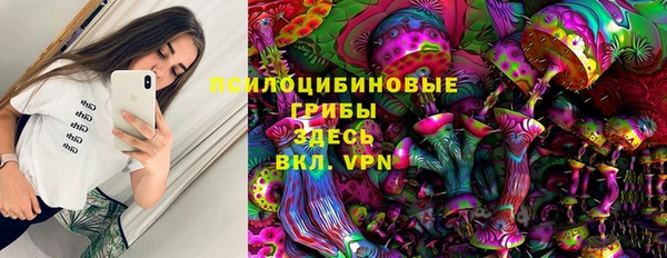 скорость Белокуриха