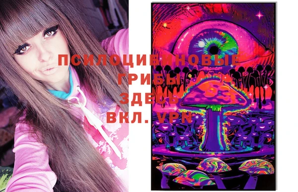 скорость Белокуриха