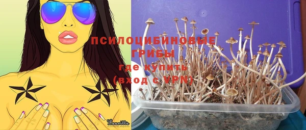 скорость Белокуриха