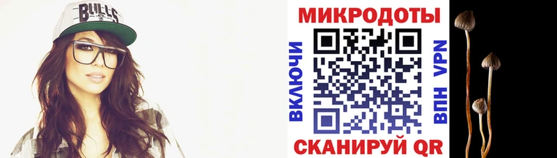 Галлюциногенные грибы MAGIC MUSHROOMS  Купить закладки  Балтийск 